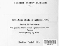 Image Associated With the Occurence